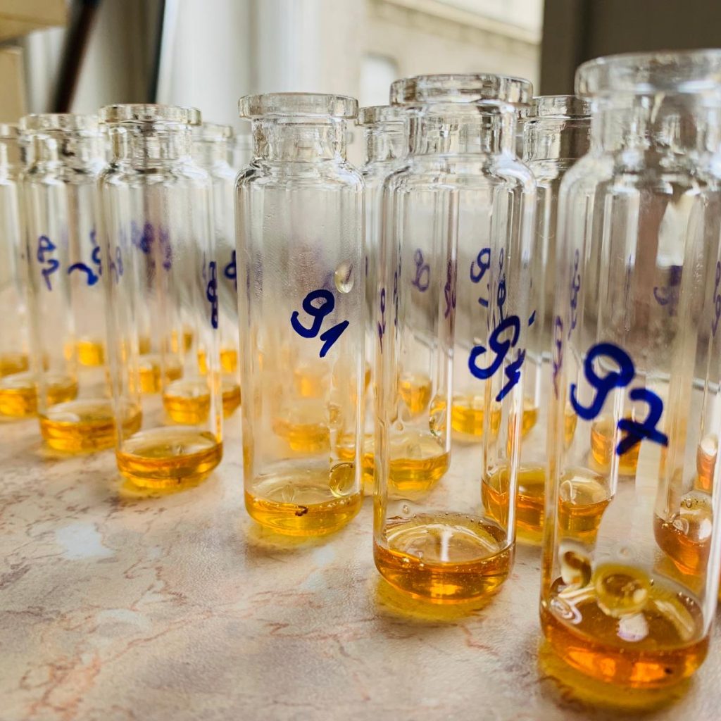 WhatsApp Image 2025-04-30 at 10.45.27_bf3c4ac9