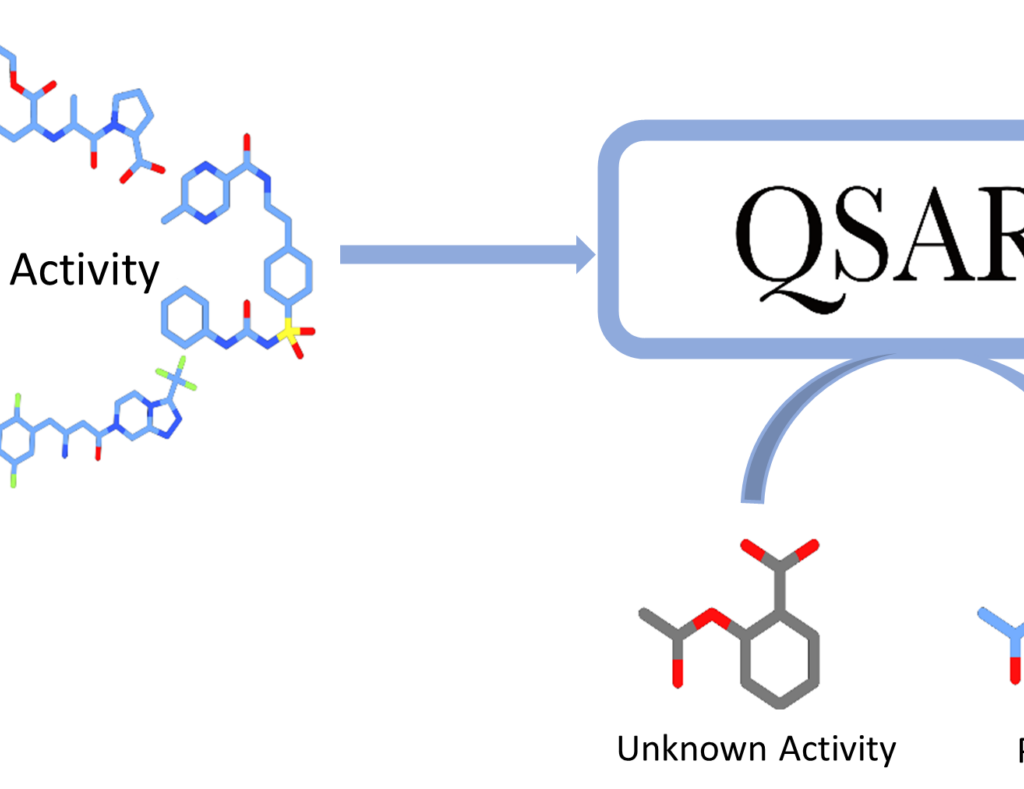 headerQSARen-1-1536x789